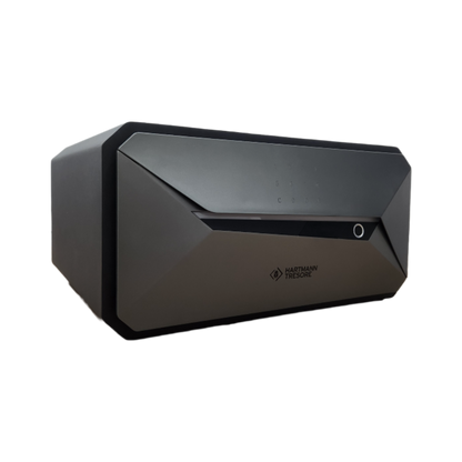 Digital Home Safe - Vida
