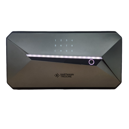 Digital Home Safe - Vida